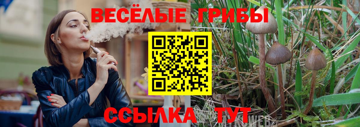 Псилоцибиновые грибы мухоморы  Вход с VPN  Дмитров 